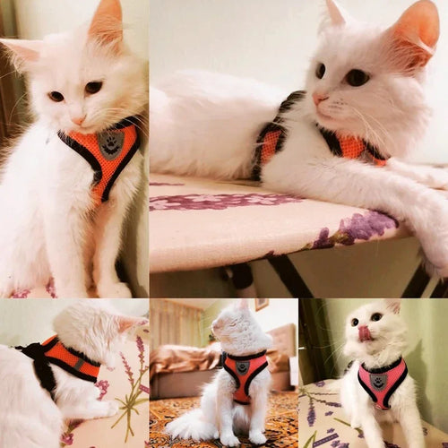 Cat Harness Vest with Leash - Adjustable Mesh Walking Harness for Small Pets