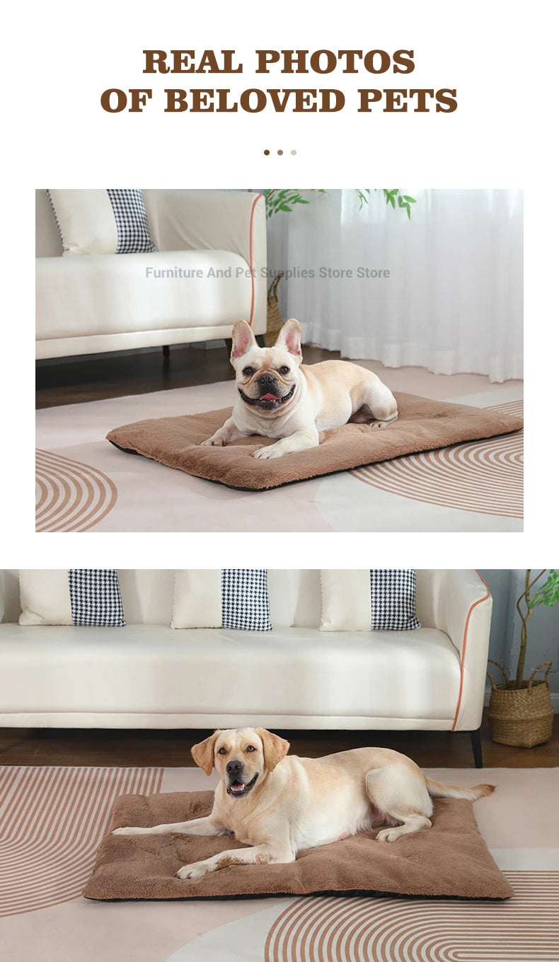 Self-Heating Pet Pad - Thermal Dog Crate Mat for Warmth & Comfort